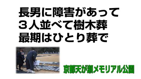 樹木人|並べて見れば、種にも、多様性がちゃんとある｜樹木も人も笑顔 